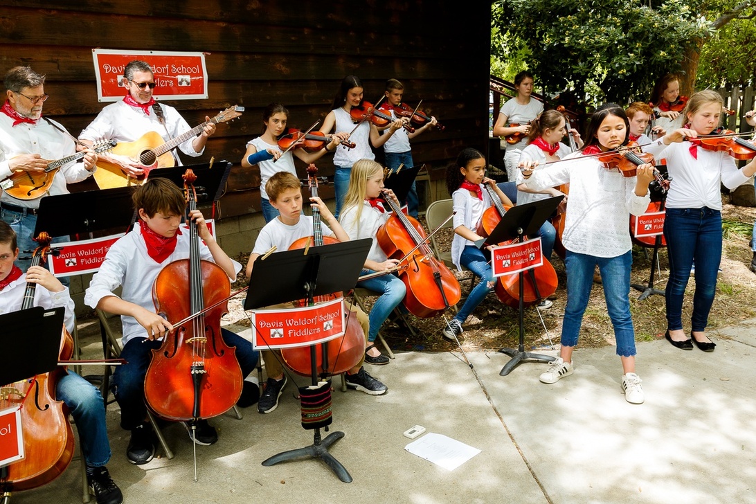 Ein Musikensemble einer Waldorfschule mit Schülern, die Streichinstrumente spielen, was die Bedeutung der musischen Bildung unterstreicht.