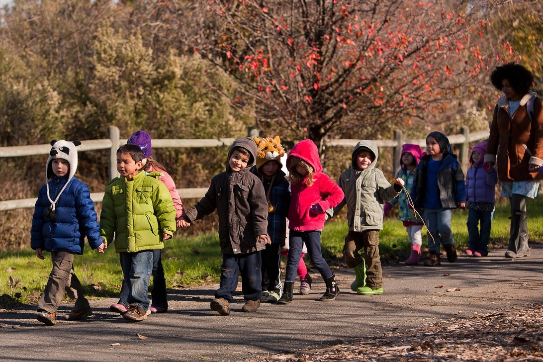 Eine Gruppe kleiner Kinder geht gemeinsam auf einem Pfad in der Natur, was den Fokus der Waldorfpädagogik auf Outdoor-Aktivitäten und Gemeinschaft unterstreicht.